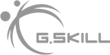 Logo de G.Skill